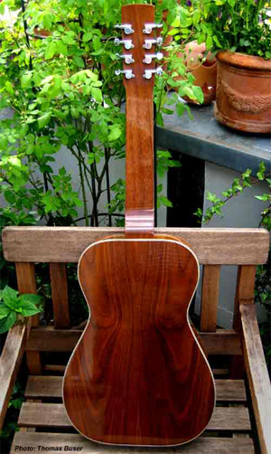 Eight string Dobro